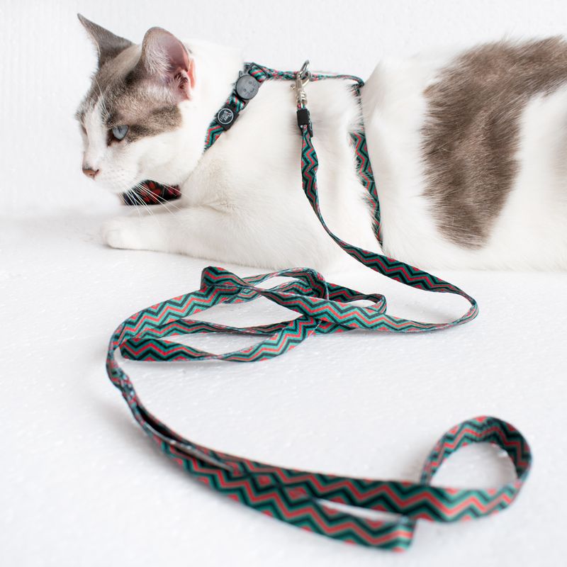Arnes-para-Gatos-diseño-Zigzag