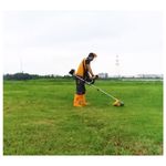 image-b9268b689b6643cc9c0d7afcf11be24d