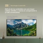 image-db9b89fd17d04c419c79965667ba2b12