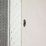image-a7a704ec0a1949c09a5ad2dd9a91737f