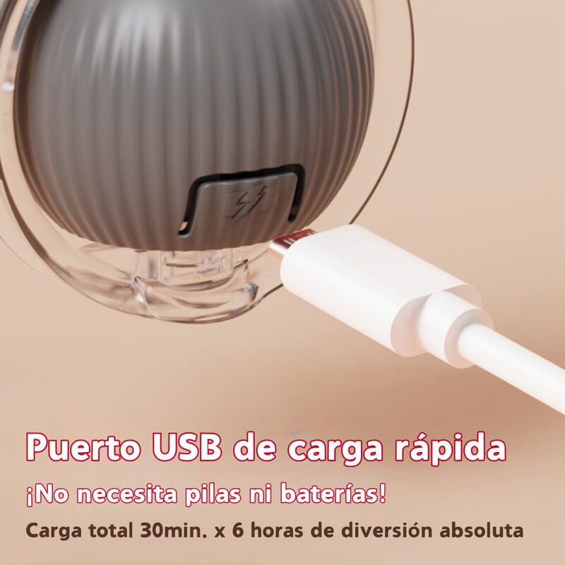 image-695b417b9ef24b6b9a228ddceb1b38dc