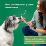 image-62b3f34695ee44fba4fe7c6861e2e752