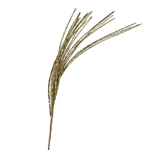 Rama Celebration 120 Cm