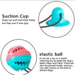 Pelota-Mordedora-con-base-para-Perros-Goma-Dispensador-de-Comida-Verde-Fuxia
