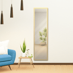 shp-163711-5