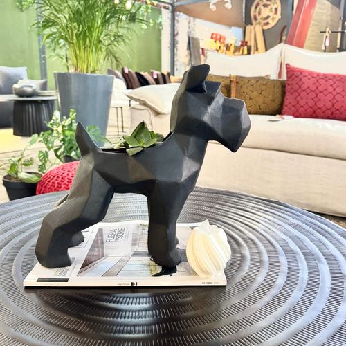 Maceta Schnauzer- Elegantemente diseñada y elaborada con suculentas y cactus.