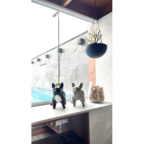 Maceta Frenchie- Elegantemente decorada con lindas suculentas ò cactus