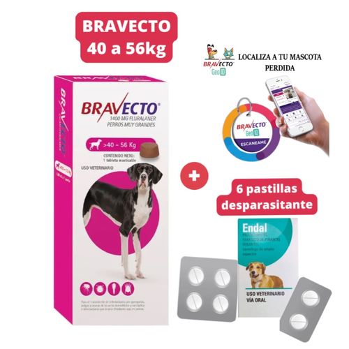 Antipulgas Bravecto para perros de 40 - 56 kg + Geolocalizador para Mascota