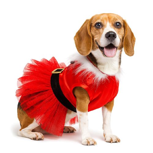 Ropa de Navidad para mascotas - Mamanoela Tutú rojo Talla 2