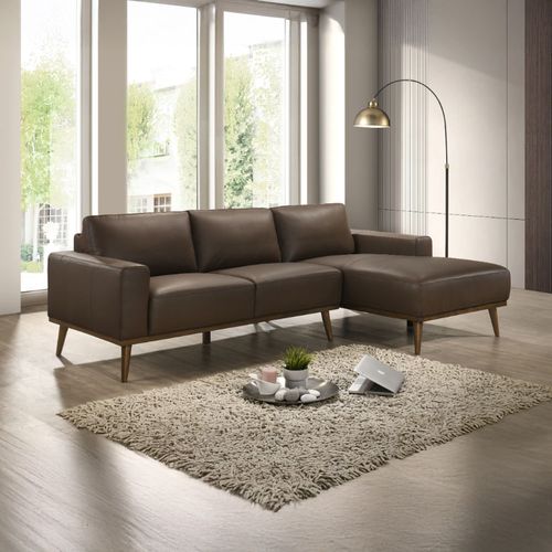 Seccional Florencia Derecho Cuero Marron