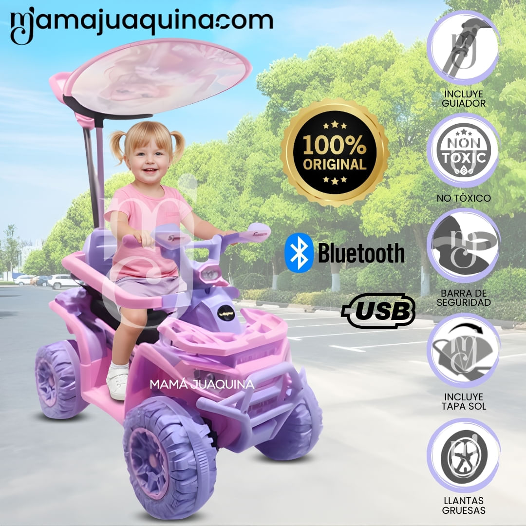 Correpasillo Empujador Buggy «TERRA FOCUS» para Niños Lila