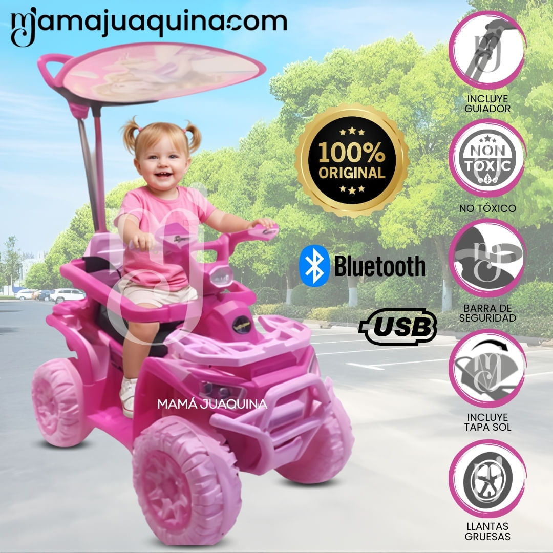 Correpasillo Empujador Buggy «TERRA FOCUS» para Niños Rosa