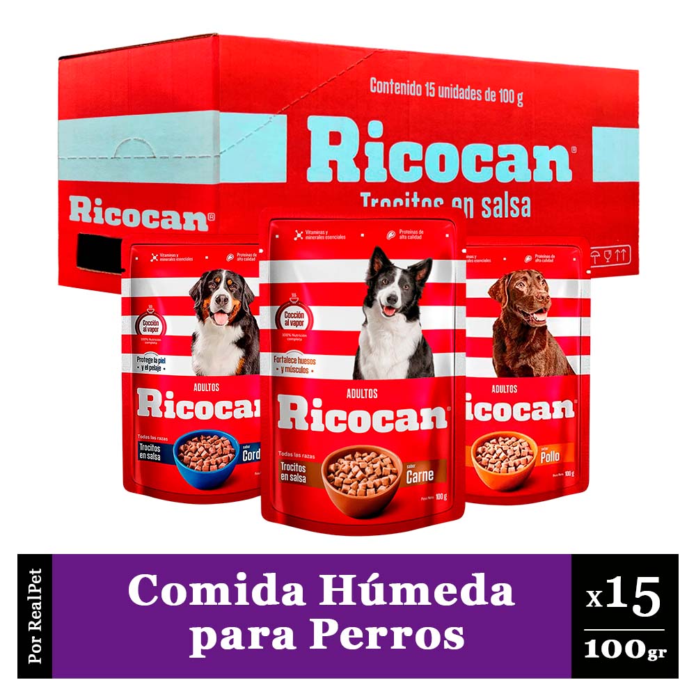 Pack Caja x15 Comida Húmeda Ricocan Varios Sabores 100gr