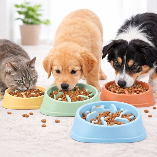Comedero Lento Antideslizante Mascotas Seguro y Saludable Surtido