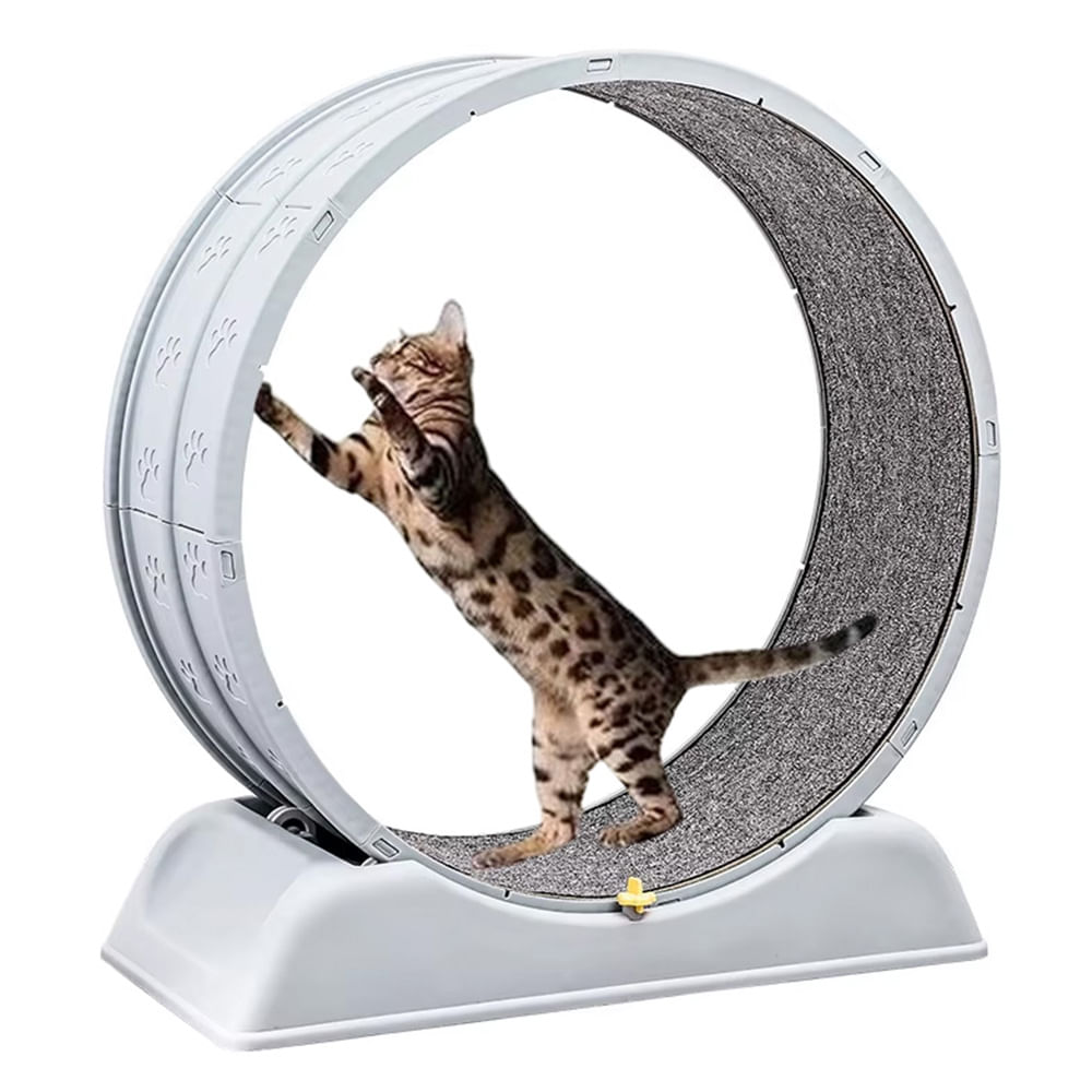 Rueda Giratoria de Ejercicio Para Gatos