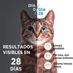image-7fb7bde5b880423d93c5892bc50f9a67