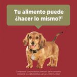 image-2956dbbce8fe4cf4ad4b72177a4e7a60