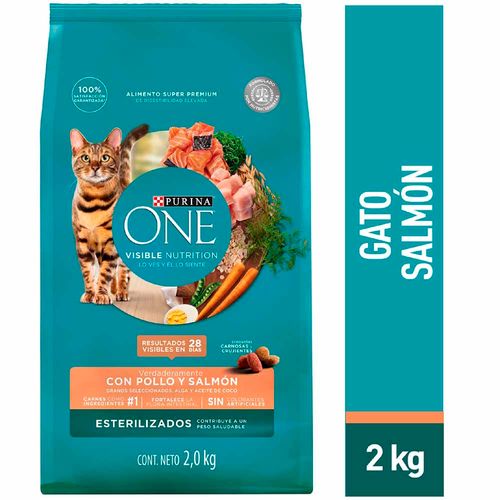 Comida para Gatos PURINA ONE Adulto Toda Razas Pollo Salmón Bolsa 2Kg