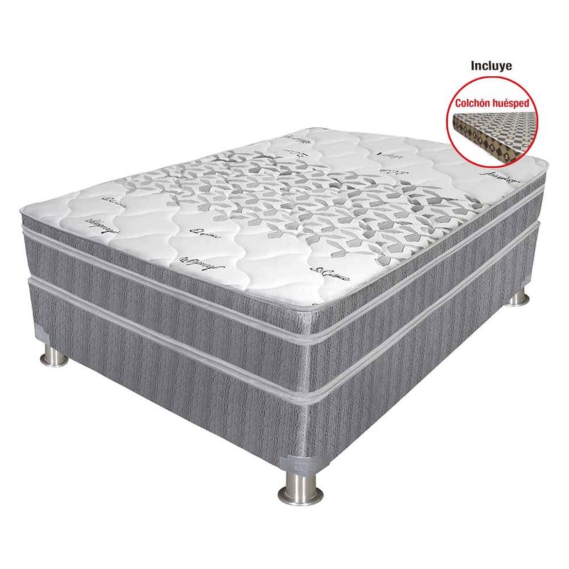 shp-20591-0