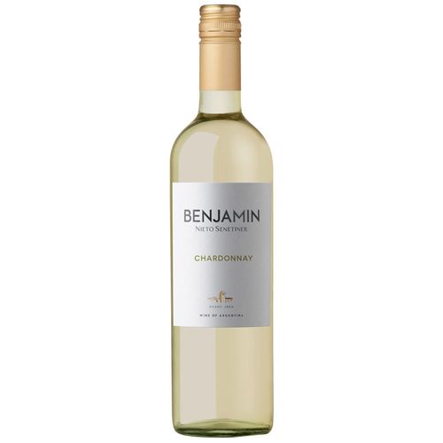 Vino BENJAMIN Chardonnay Botella 750ml