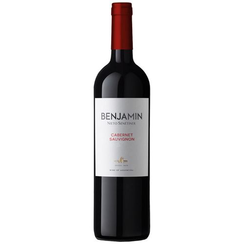 Vino BENJAMIN Cabernet Sauvignon Botella 750ml