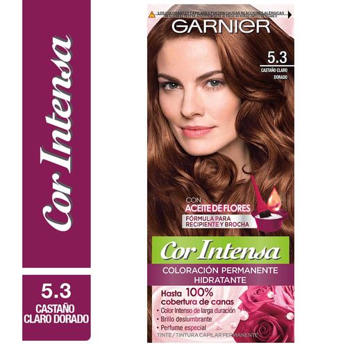 Tinte para Cabello GARNIER Cor Intensa 5.3