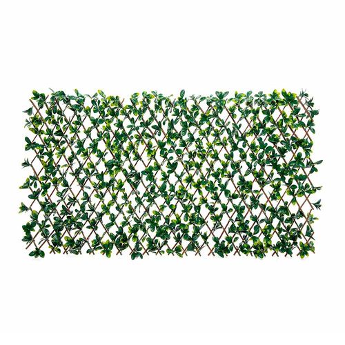 Cerca plegable Bayberry Willow 200x100cm