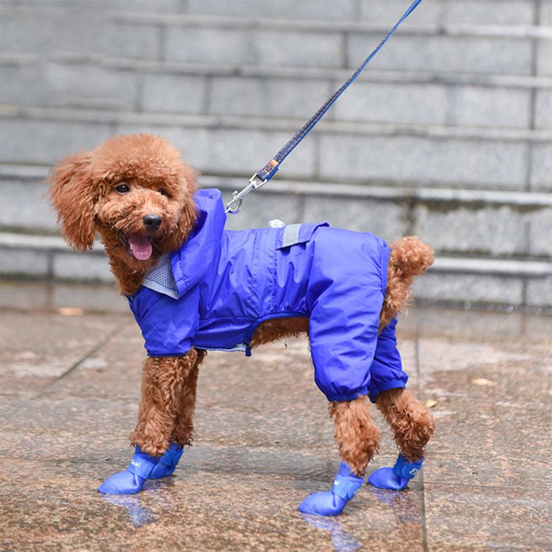 Zapatos-de-Silicona-para-Mascotas-Azul---XXL