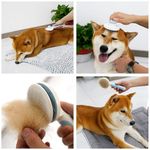 Cepillo-removedor-de-pelo-para-Mascotas-Azul