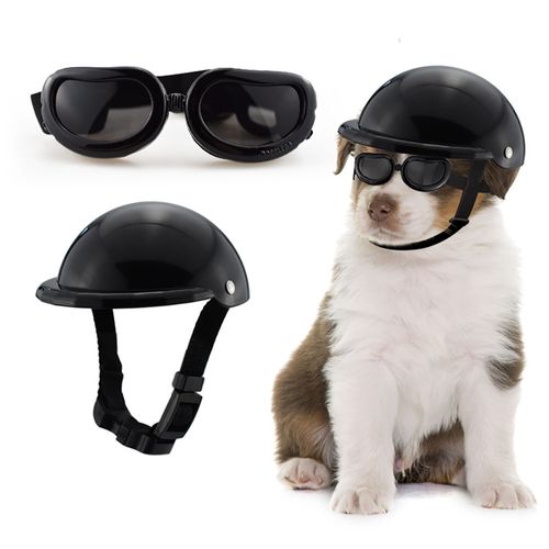 Casco y Lentes para Mascotas Negro M