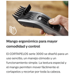 image-9808b3091e47495aaf421f49cced5476