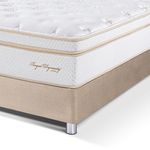 shp-1579534-2