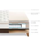 shp-1673137-3